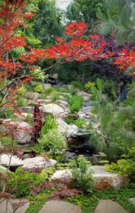 Vista Garden - Back Pond & Maple Leaves