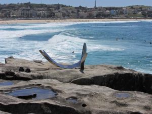 Australia - Sculpture by the Sea - Metal Curve