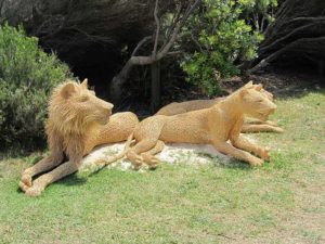 Australia - Sculpture by the Sea - Twine Lions