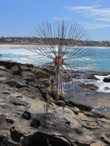 Sculpture by the Sea, Bondi Beach, Sydney, Australia