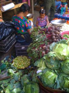 Guatemala - La Antigua Market Beets and Cabbage
