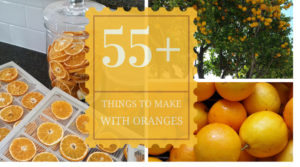 55+ Things to Make With Oranges - Includes Photos! H