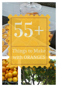 55+ Things to Make with Oranges - includes Photos!