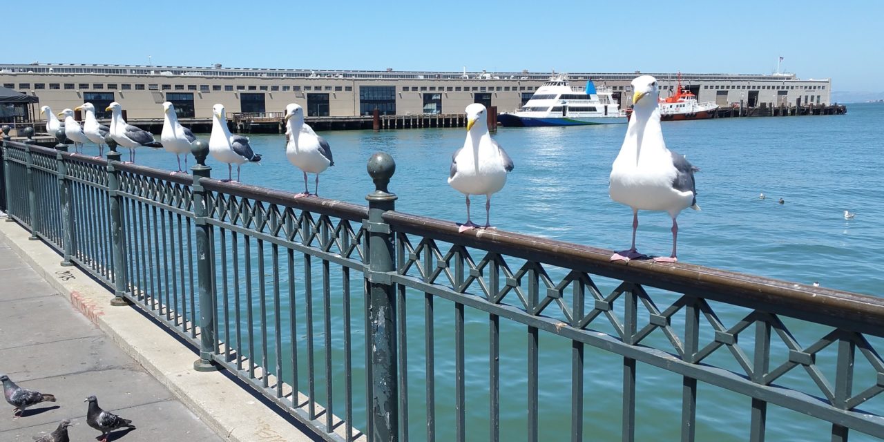 San Francisco – A Walk Along the Embarcadero and Fisherman’s Wharf
