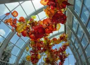 Seattle - Chihuly Garden & Glass Ceiling Glass