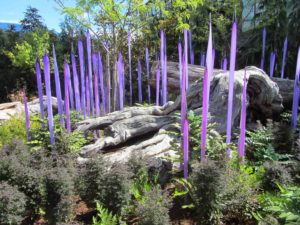 Seattle - Chihuly Garden & Glass Lavender Spikes