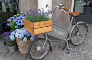 Copenhagen, Denmark Photo - Flower Filled Bicyle