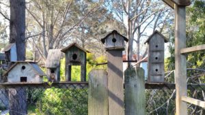 Marney Mahoney's Birdhouse Collection