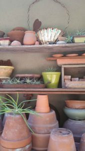 Marnie Mahoney's Del Mar Garden Collections - Pots with Tillandsia