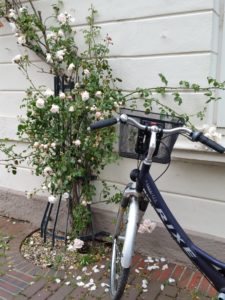 Copenhagen - Flowers & Bicycles