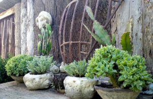 Bonnie Jo Manion - Plants in French Pots