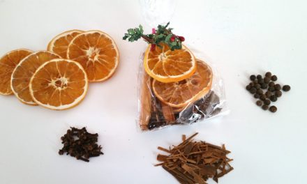 Cinnamon Spice Simmering Potpourri & Mulling Spices – Recipes