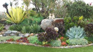 Succulents - Kathleen Delancey's Garden